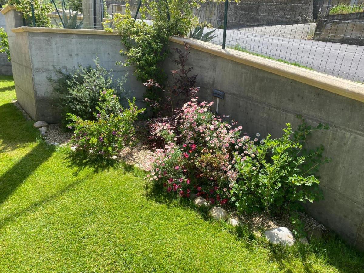 B&B La Casa Di Giuliana Cermignano Exteriör bild