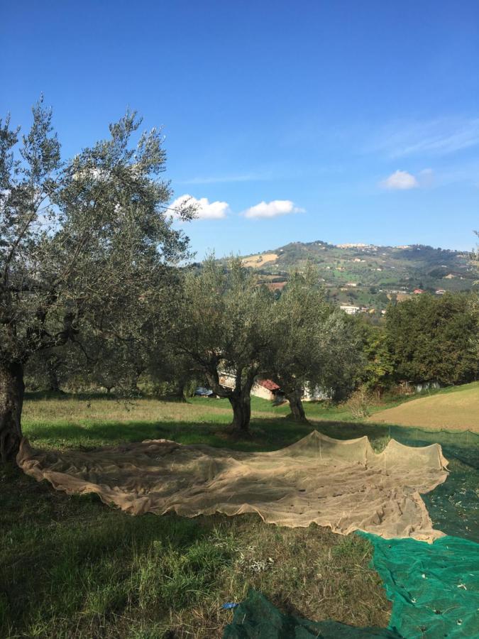 B&B La Casa Di Giuliana Cermignano Exteriör bild