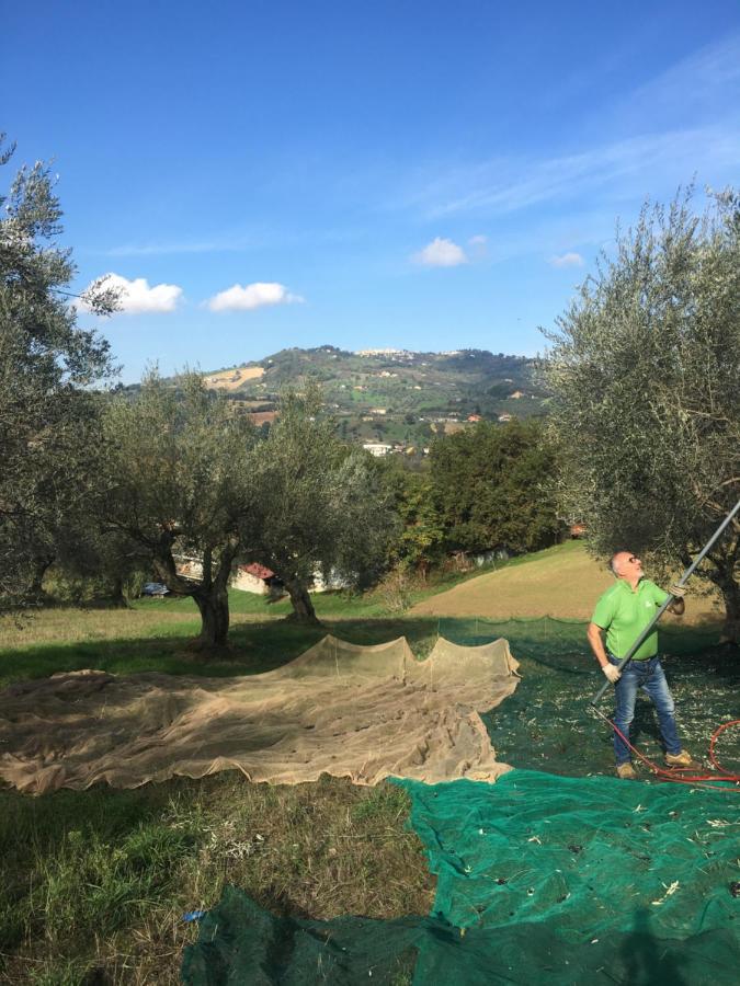 B&B La Casa Di Giuliana Cermignano Exteriör bild
