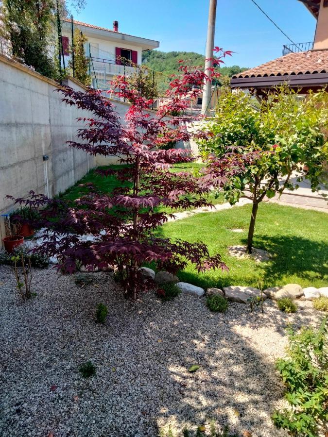 B&B La Casa Di Giuliana Cermignano Exteriör bild